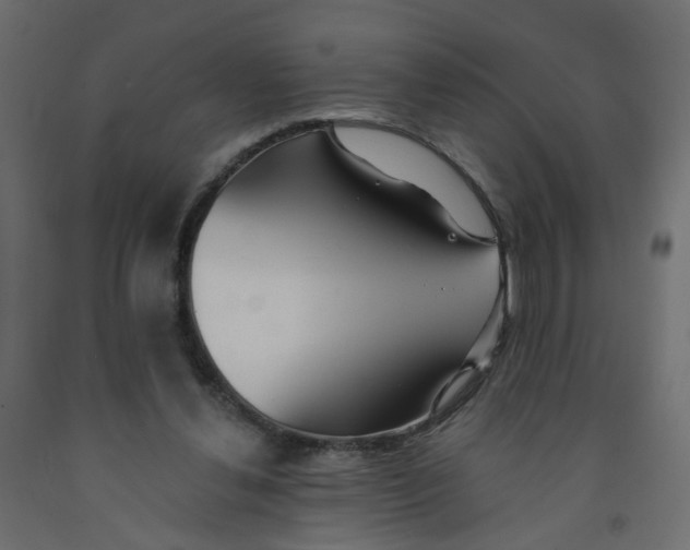 X0000092080252200710101046