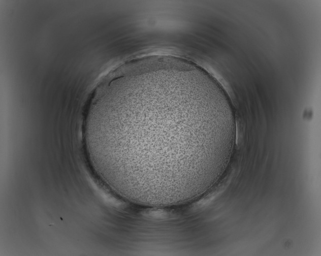 X0000092080253200710101046