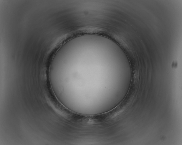 X0000092080254200710101046