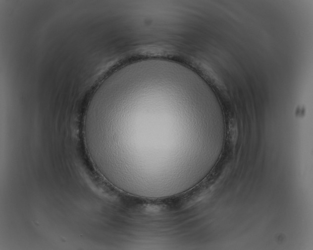 X0000092080255200710101046