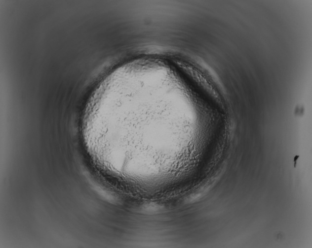 X0000092080257200710101046