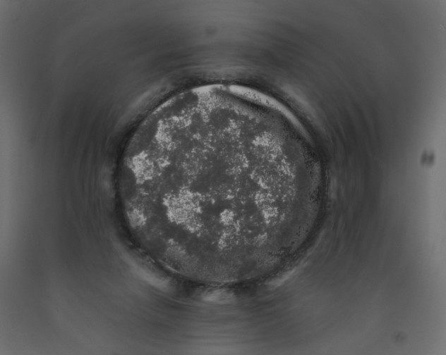 X0000092080258200710101046