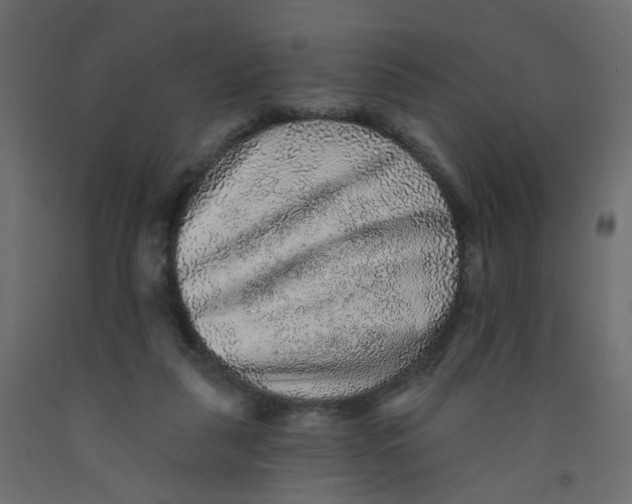 X0000092080259200710101046