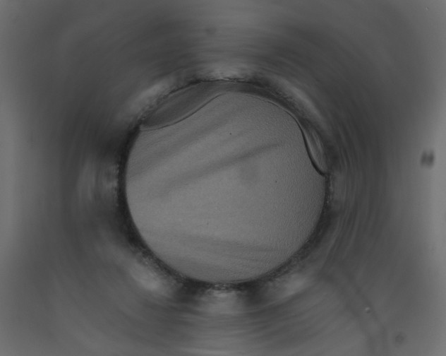 X0000092080260200710101046