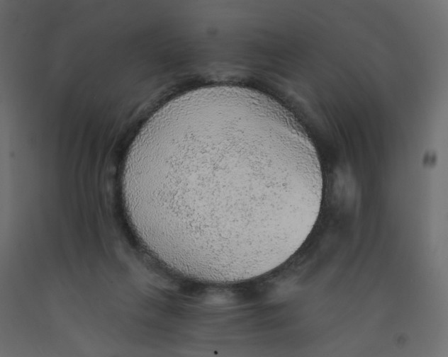 X0000092080263200710101046