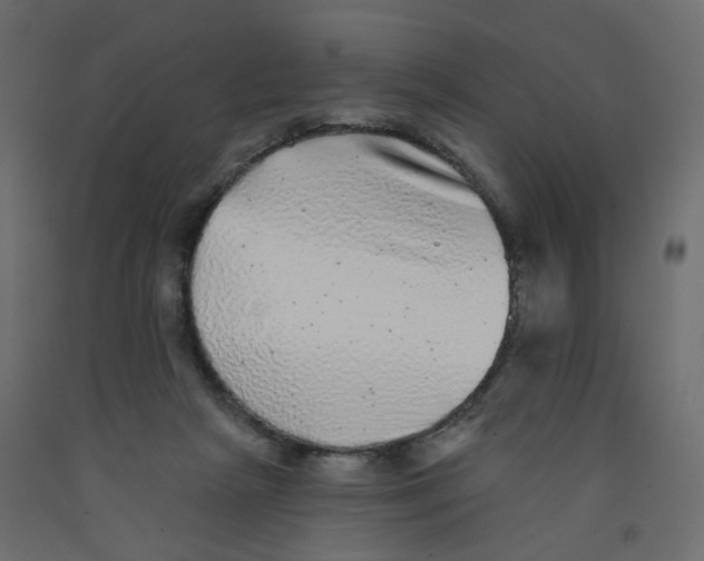 X0000092080265200710101046