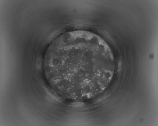 X0000092080266200710101046