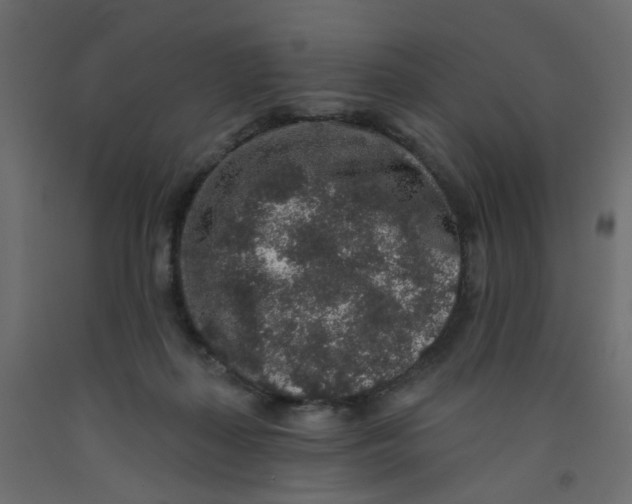 X0000092080267200710101046