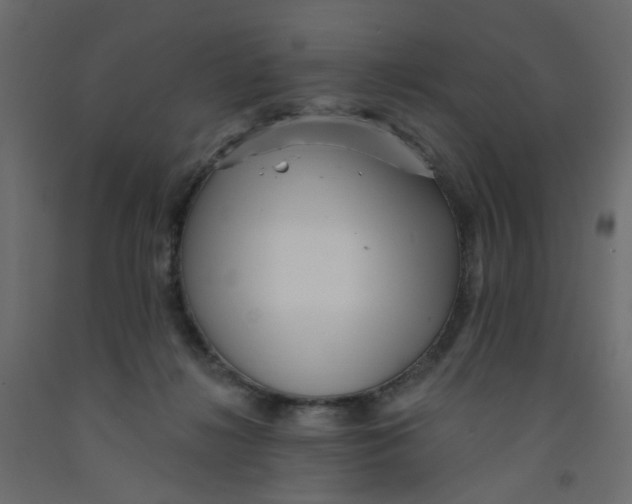 X0000092080268200710101046