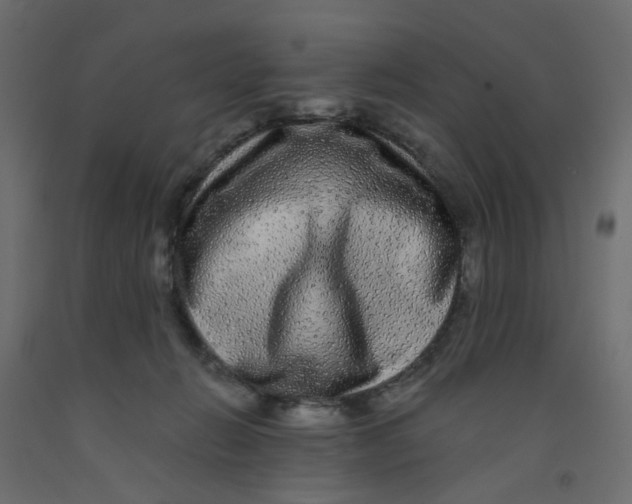 X0000092080270200710101046