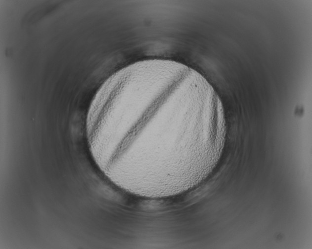 X0000092080273200710101046