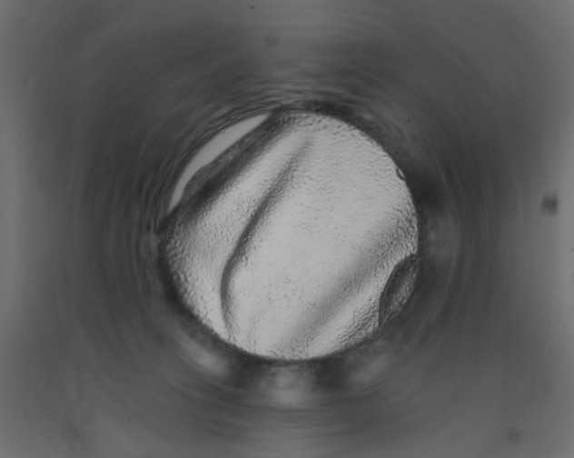 X0000092080275200710101046