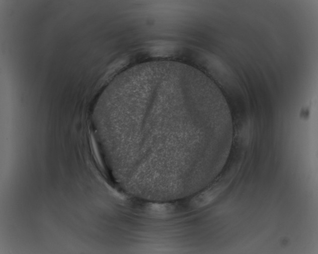 X0000092080277200710101046