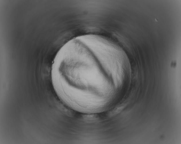 X0000092080281200710101046