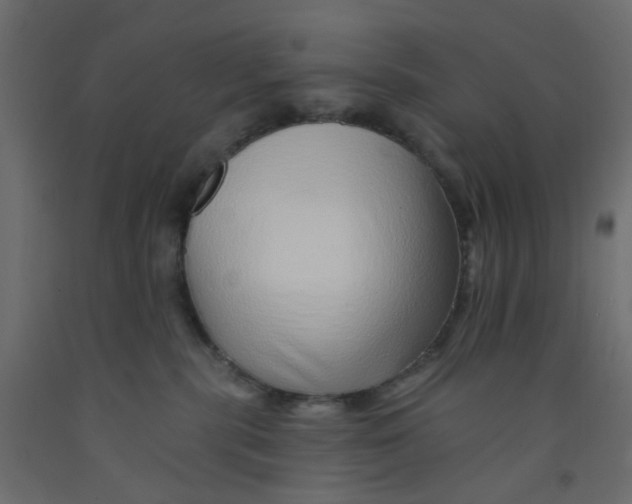 X0000092080283200710101046