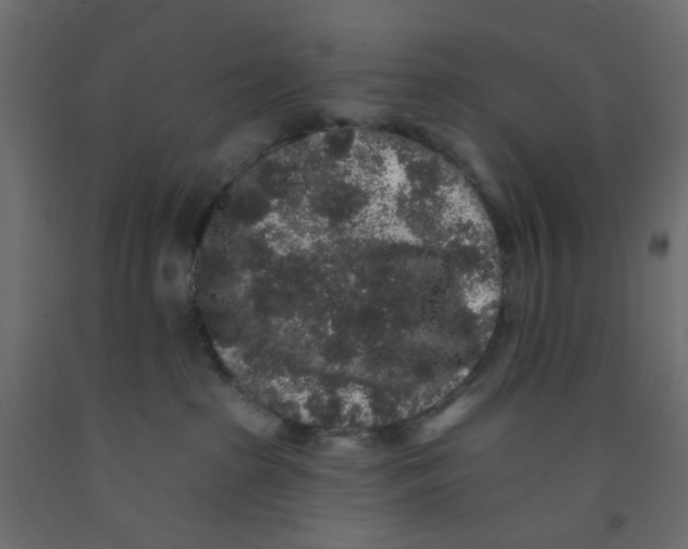 X0000092080285200710101046