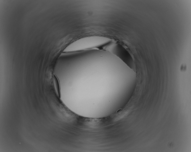 X0000092080288200710101046