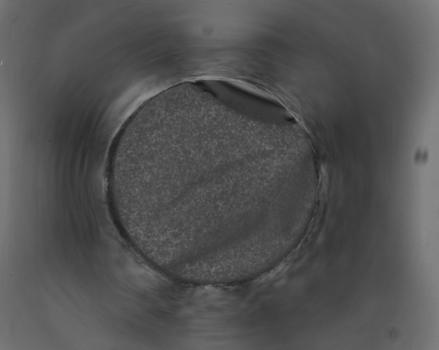 X0000092080290200710101046