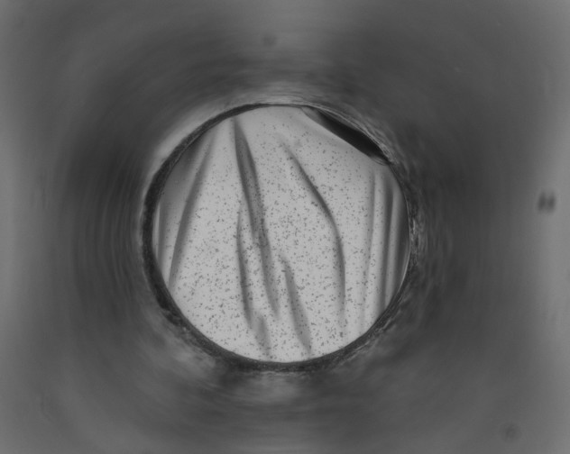 X0000092080292200710101046