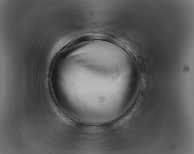 X0000092080293200710101046