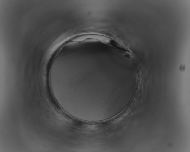 X0000092080295200710101046