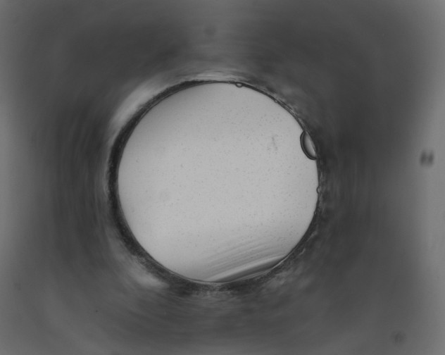 X0000092080296200710101046