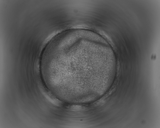 X0000092080298200710101046