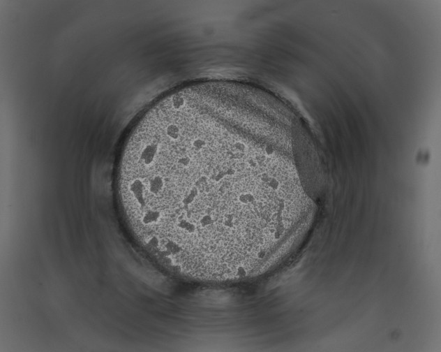 X0000092080299200710101046