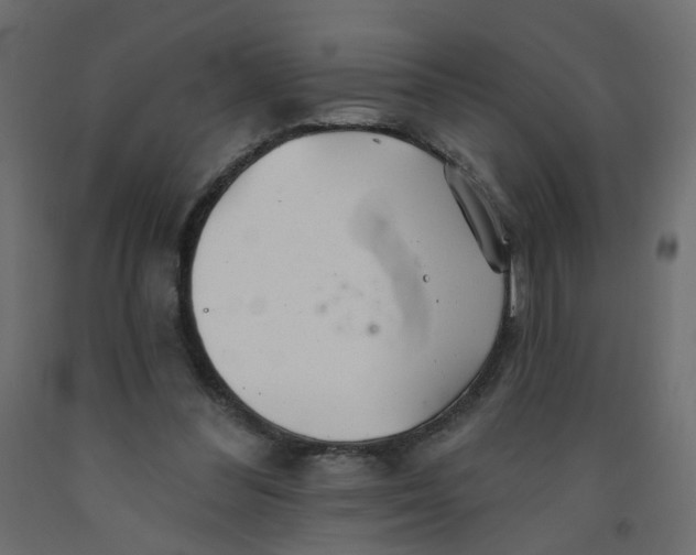 X0000092080300200710101046