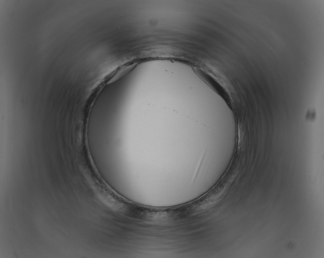 X0000092080301200710101046