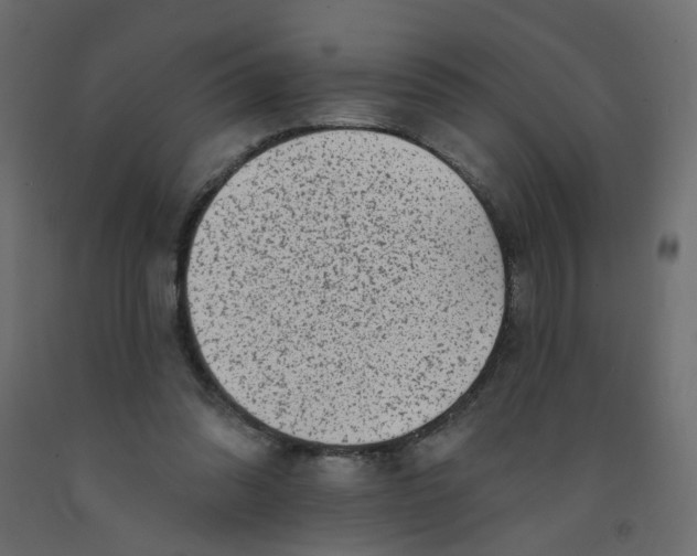 X0000092080302200710101046