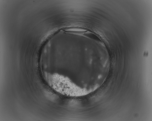 X0000092080303200710101046