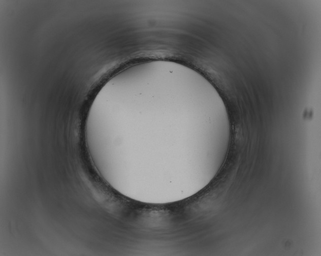 X0000092080304200710101046