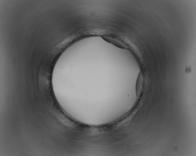 X0000092080305200710101046