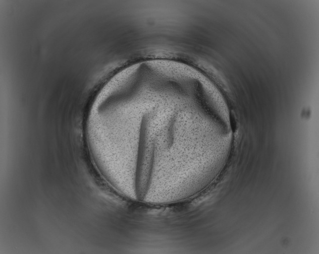 X0000092080306200710101046