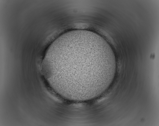 X0000092080307200710101046