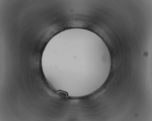 X0000092080309200710101046