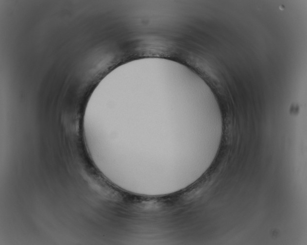 X0000092080310200710101046