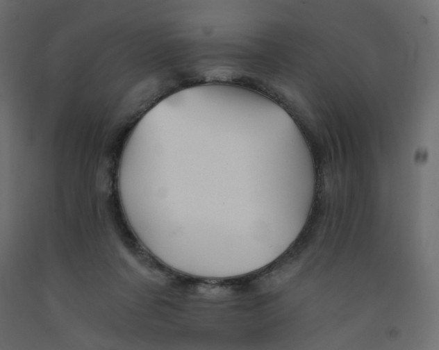 X0000092080311200710101046