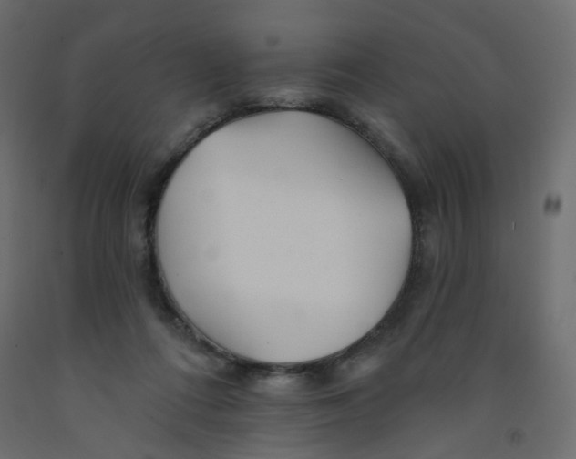 X0000092080312200710101046