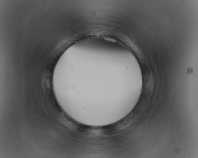 X0000092080313200710101046