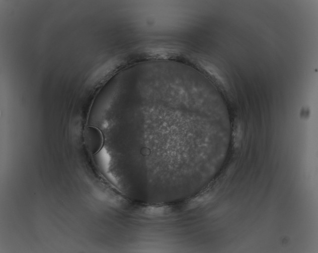 X0000092080314200710101046