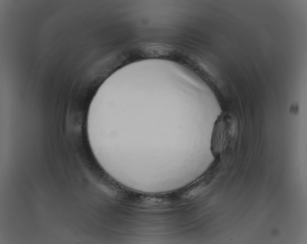 X0000092080315200710101046