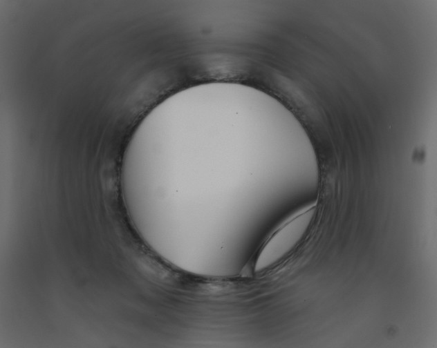 X0000092080317200710101046