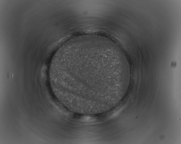 X0000092080319200710101045