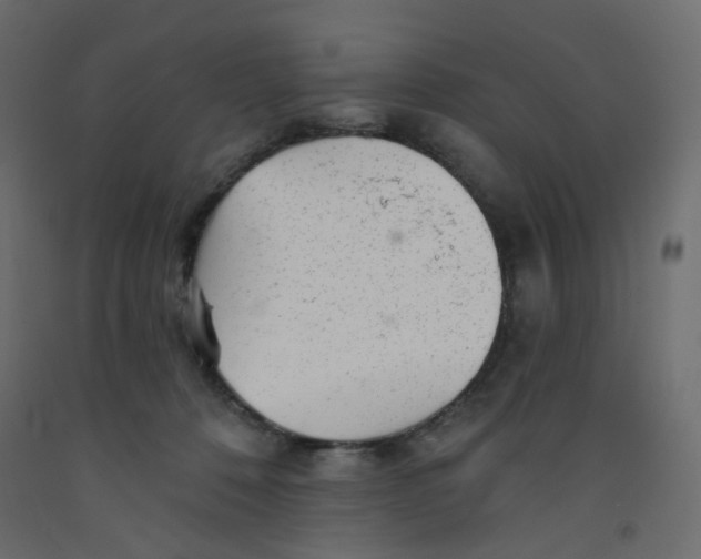 X0000092080320200710101045