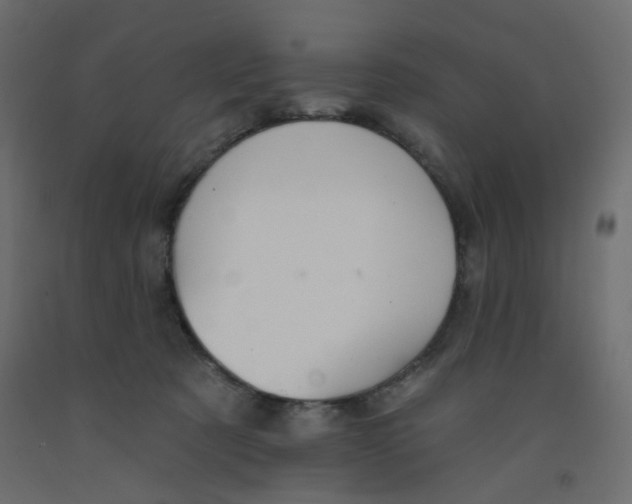 X0000092080321200710101045