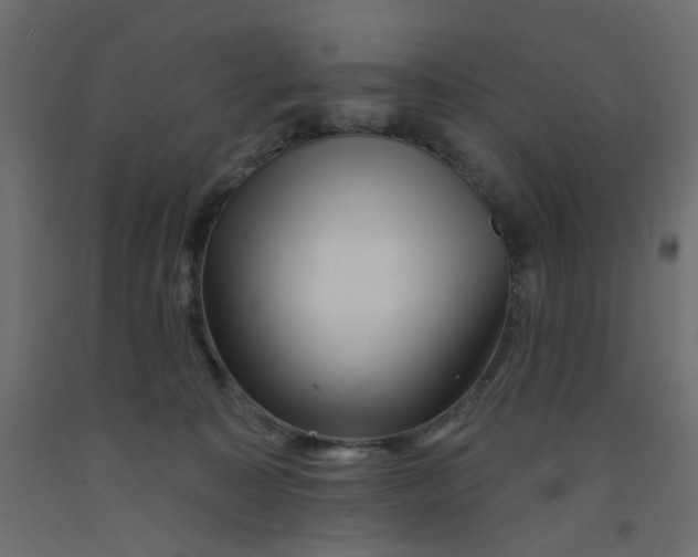 X0000092080323200710101045