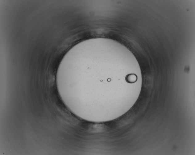 X0000092080324200710101045