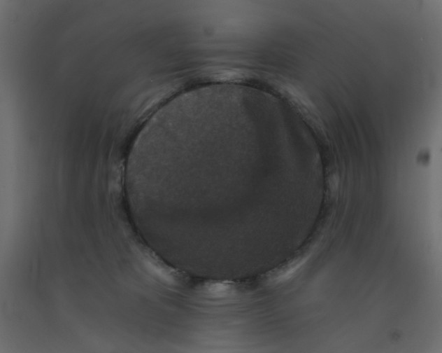 X0000092080325200710101045